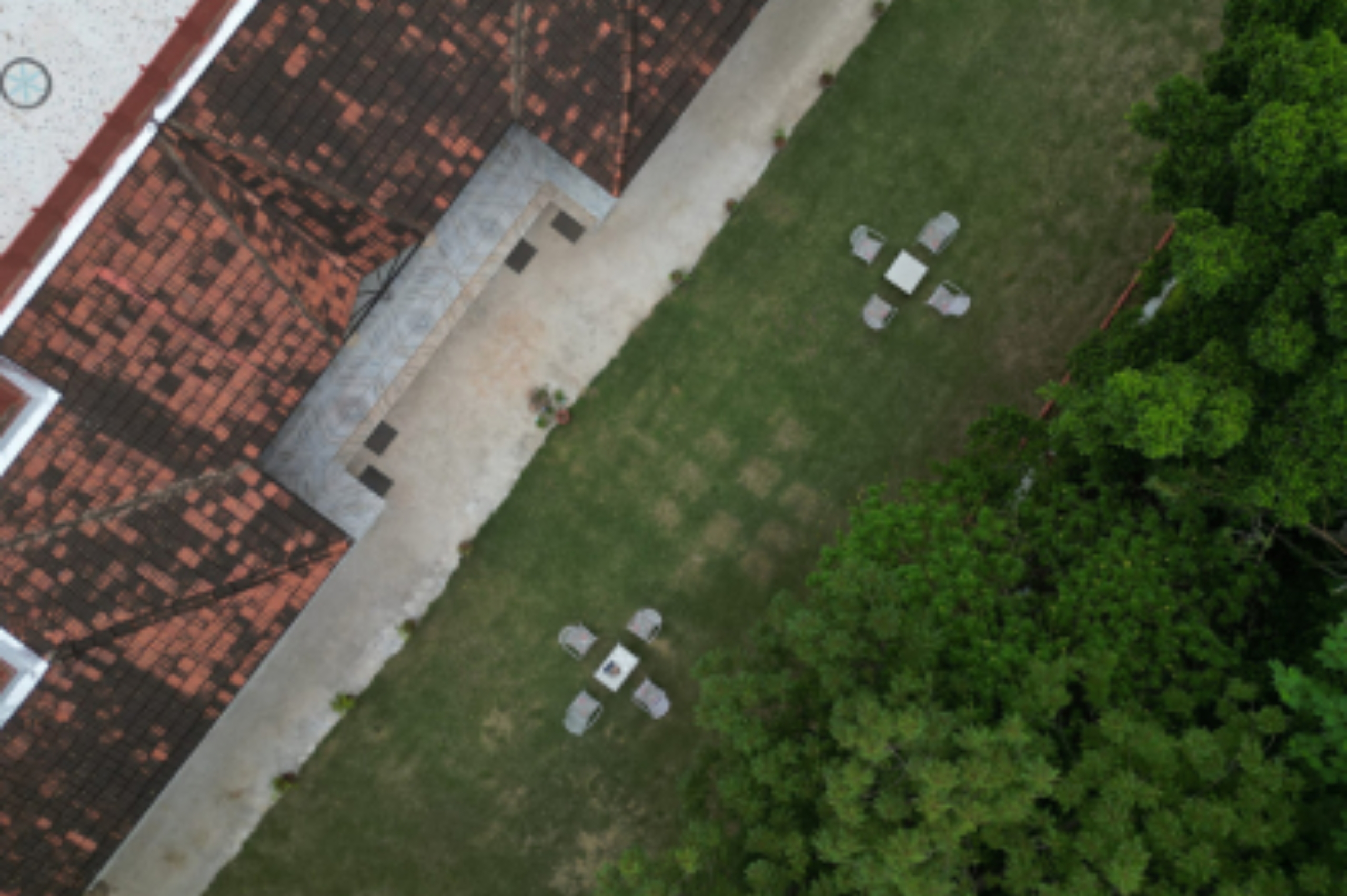 Birds View